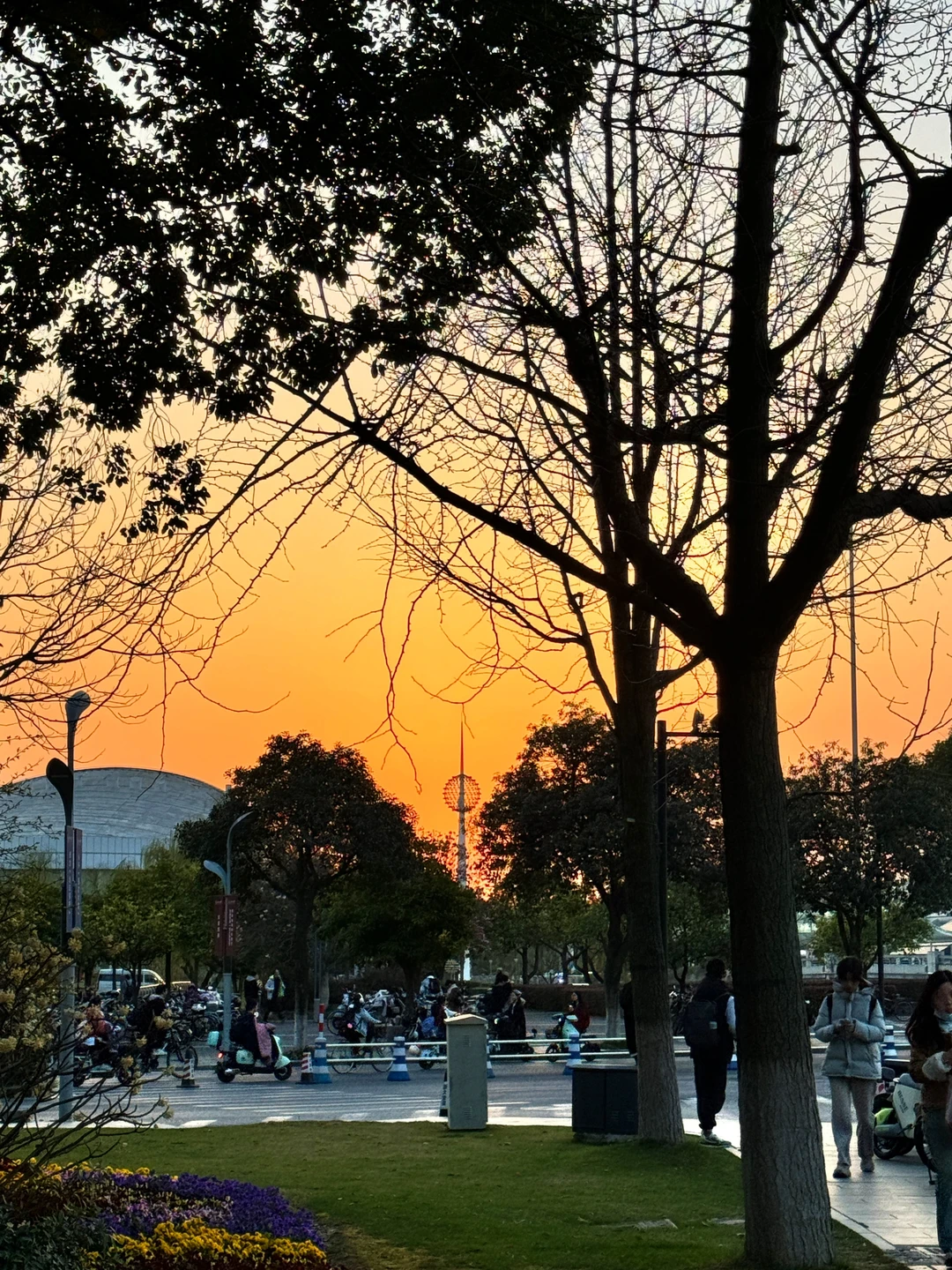 喜欢浙大的漂亮图书馆