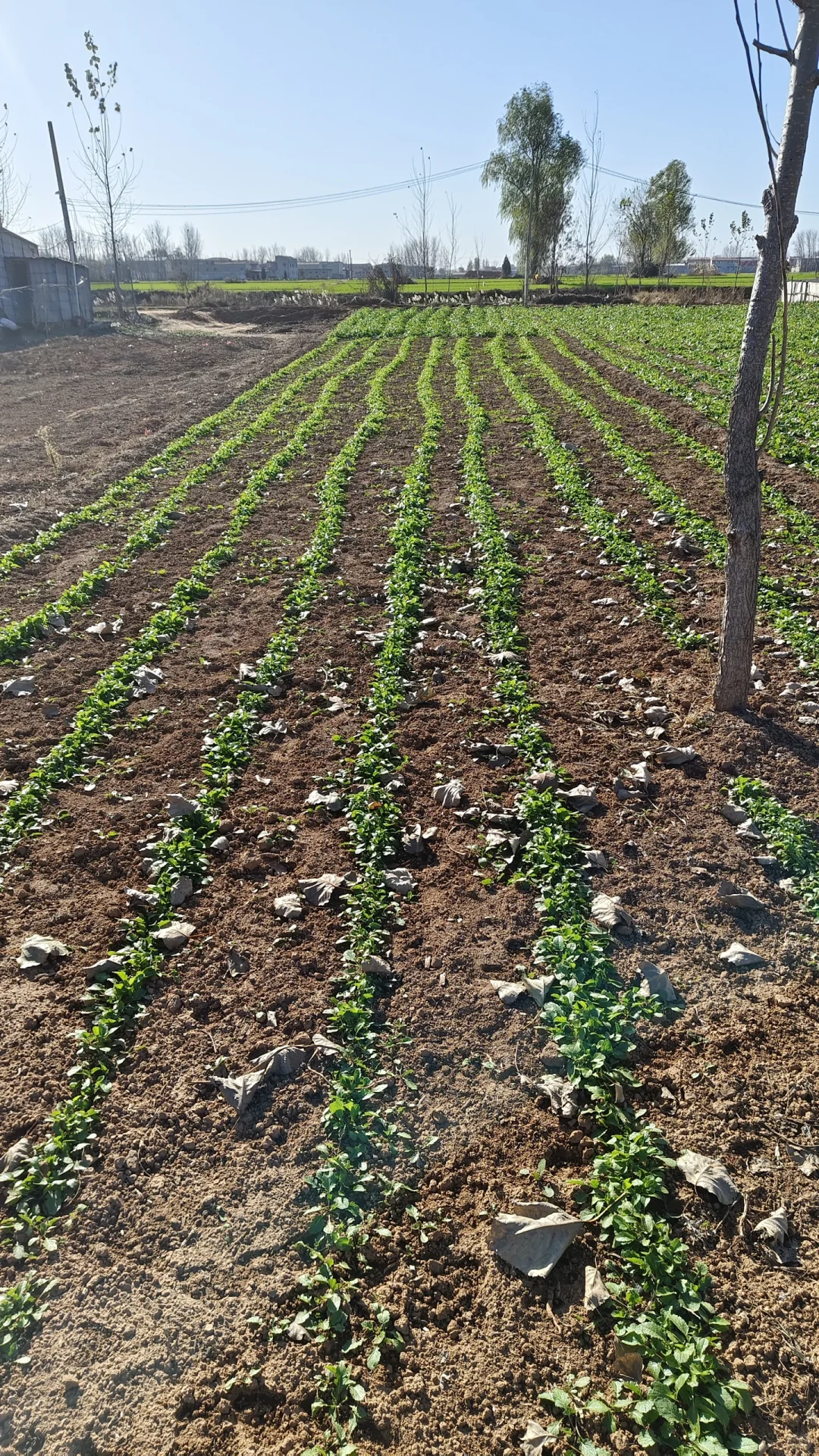 林学毕业后都在做什么？