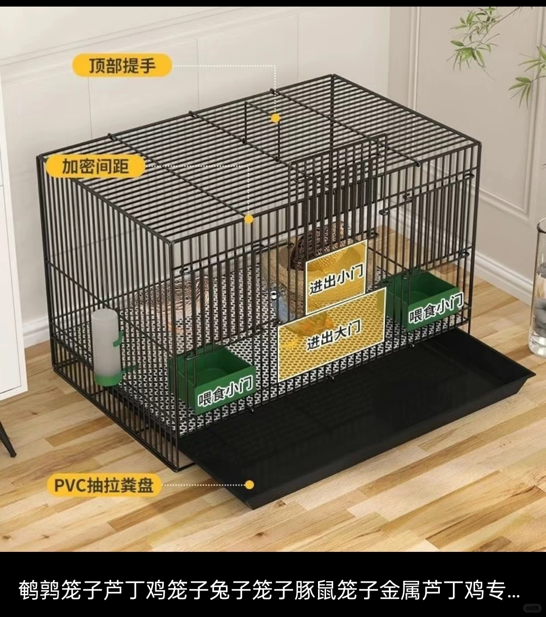 养小鸡新手攻略