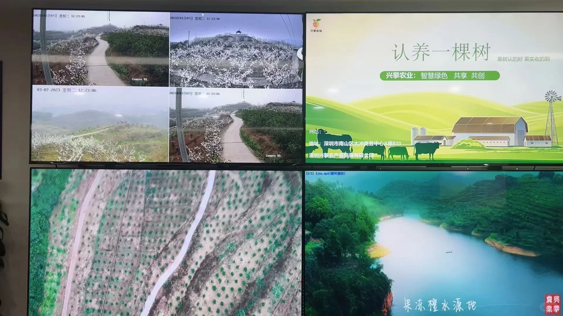 种一棵树?，收获一年果实?