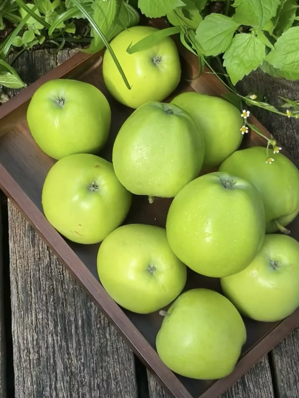 多吃青苹果气色真的会变好