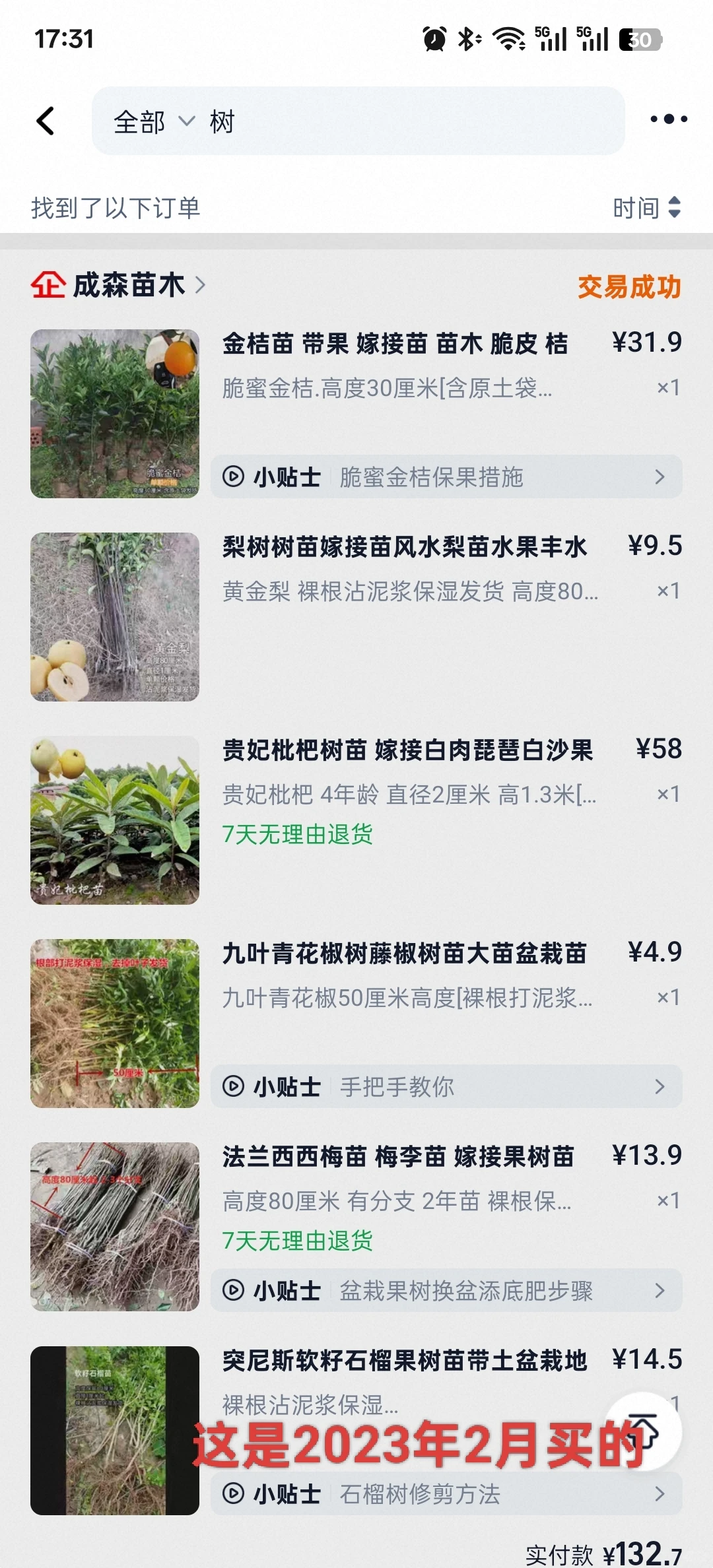 想看看你们种的挂满枝头的水果?