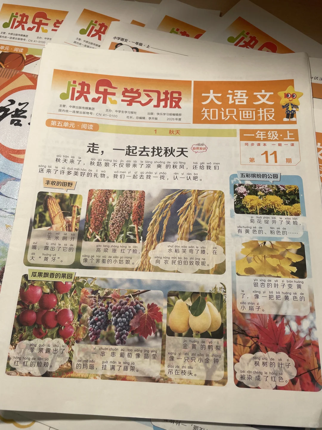 一年级小学生 语文阅读拓展