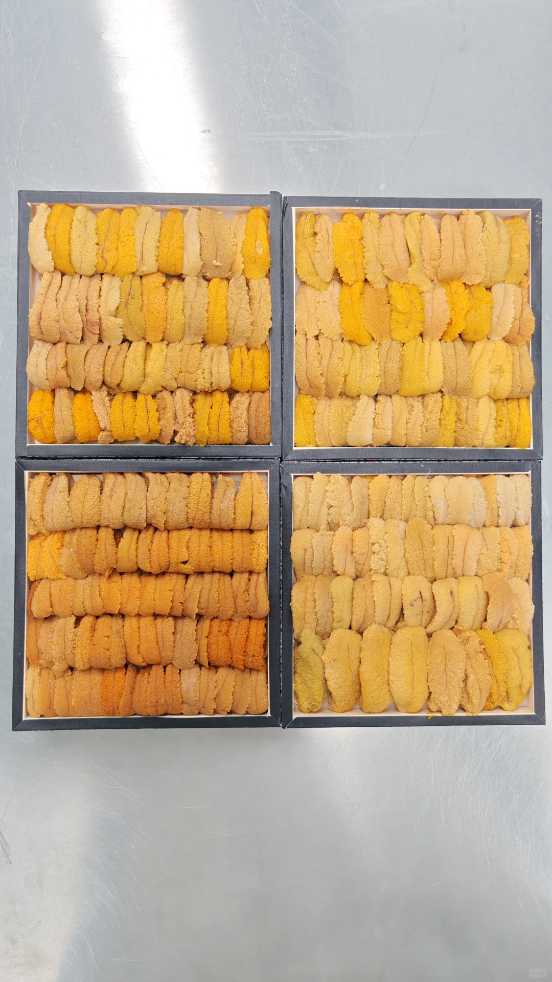 深圳）加拿大胆，唯一海胆厂，十万无尘车间