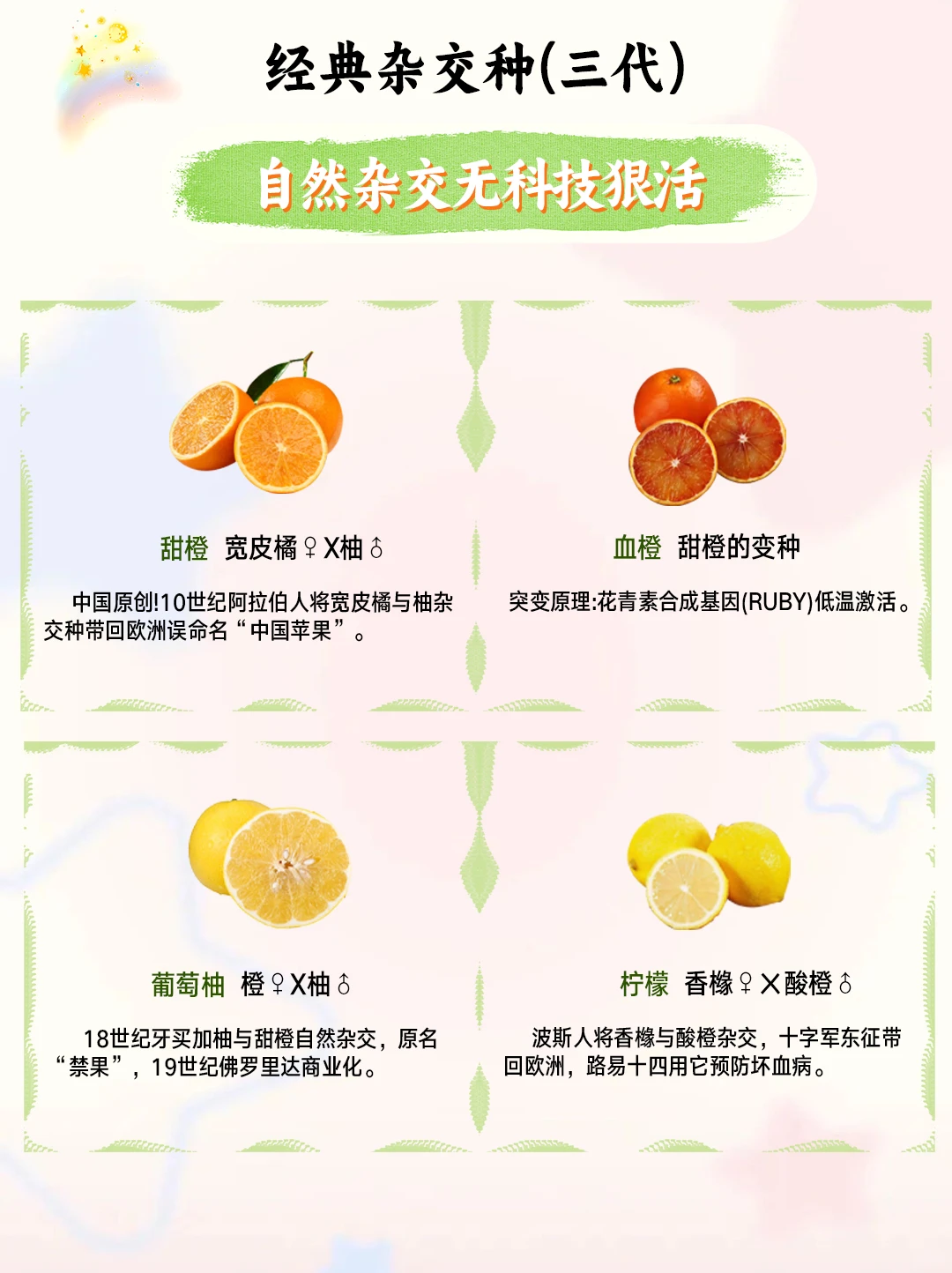 猜柑橘类型，猜柑橘关系