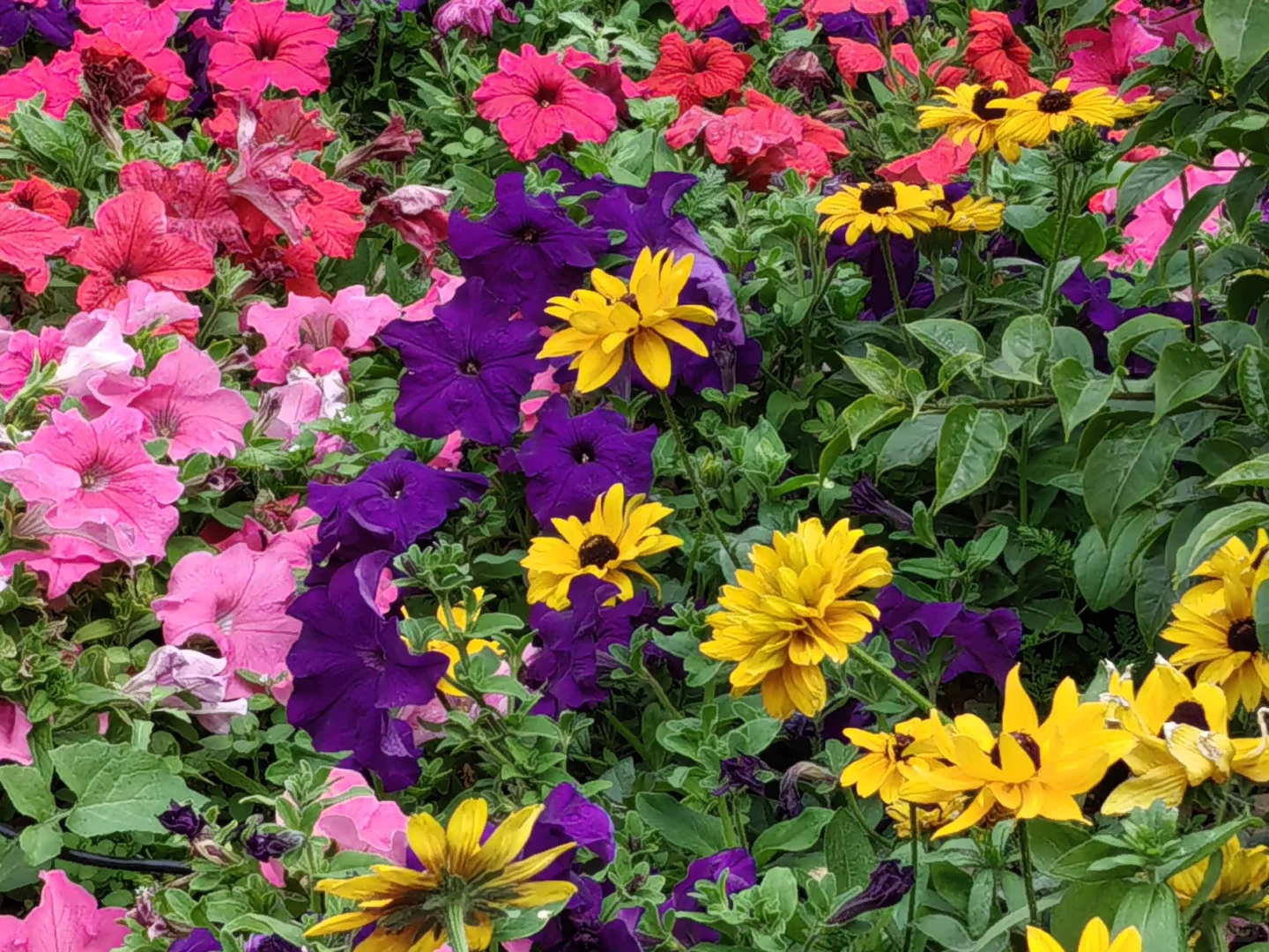 很久没有到图书馆了