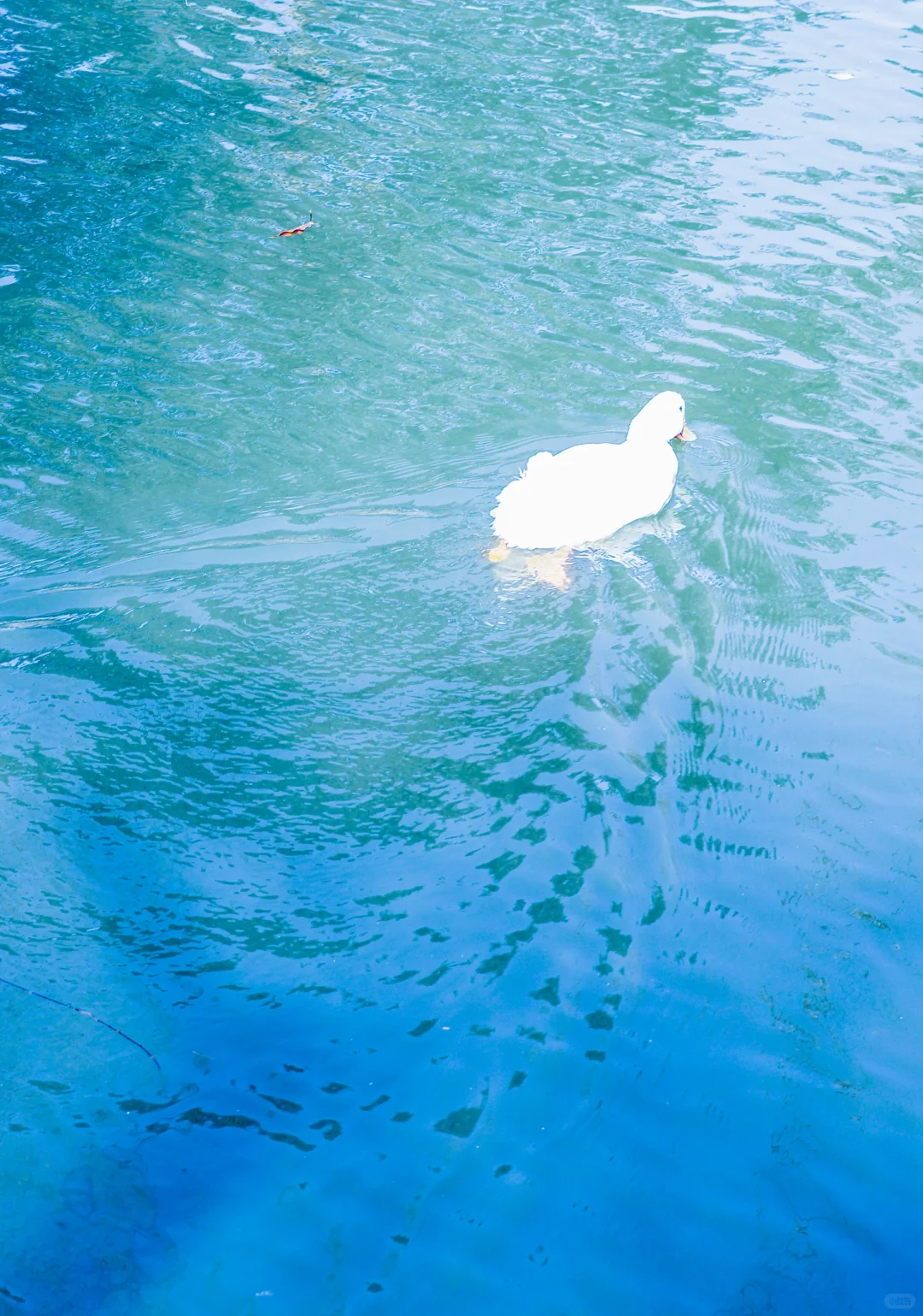 这算废片拯救成功吗