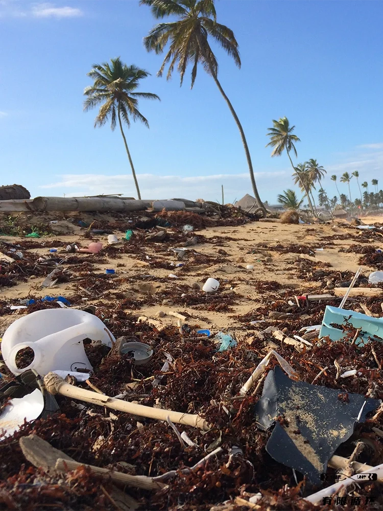 保护海洋，从小事做起！