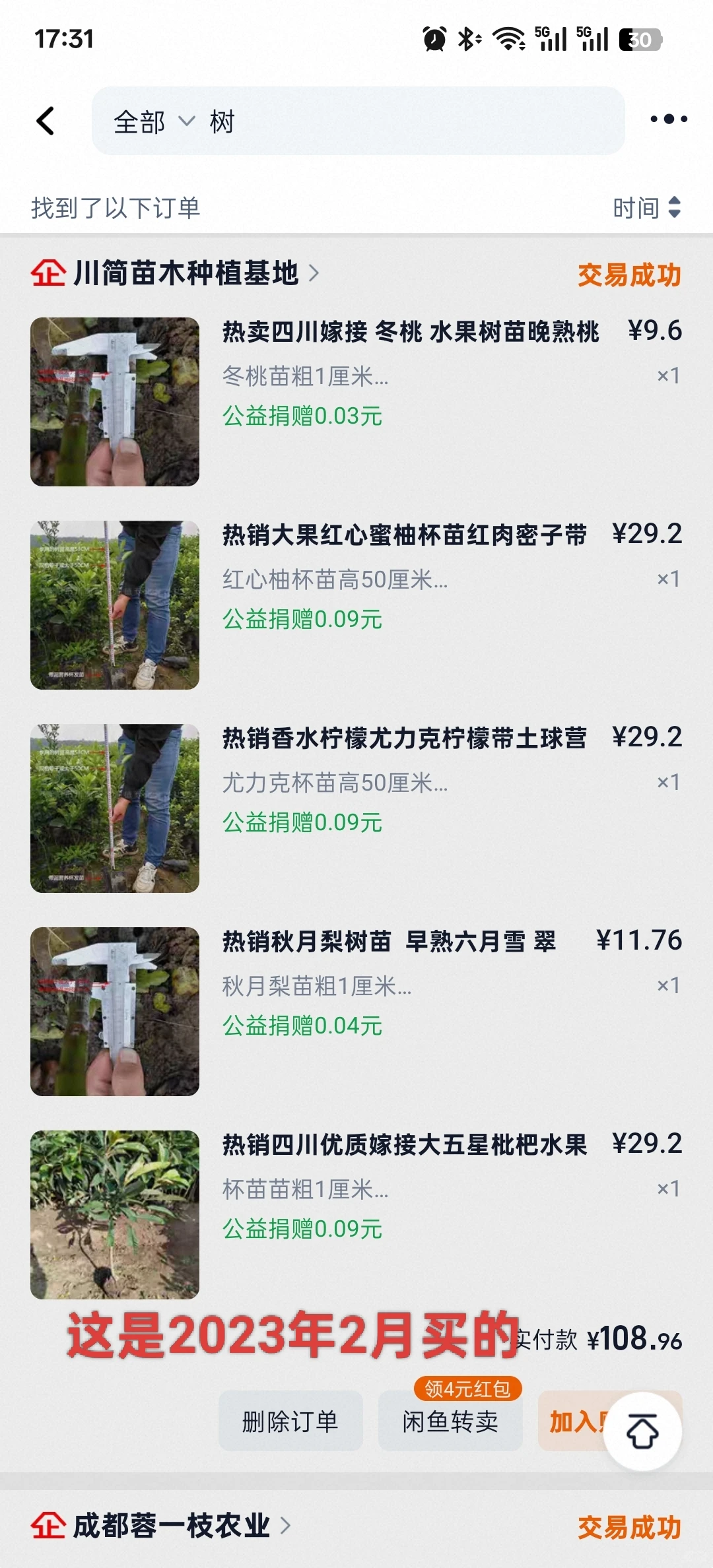 想看看你们种的挂满枝头的水果?