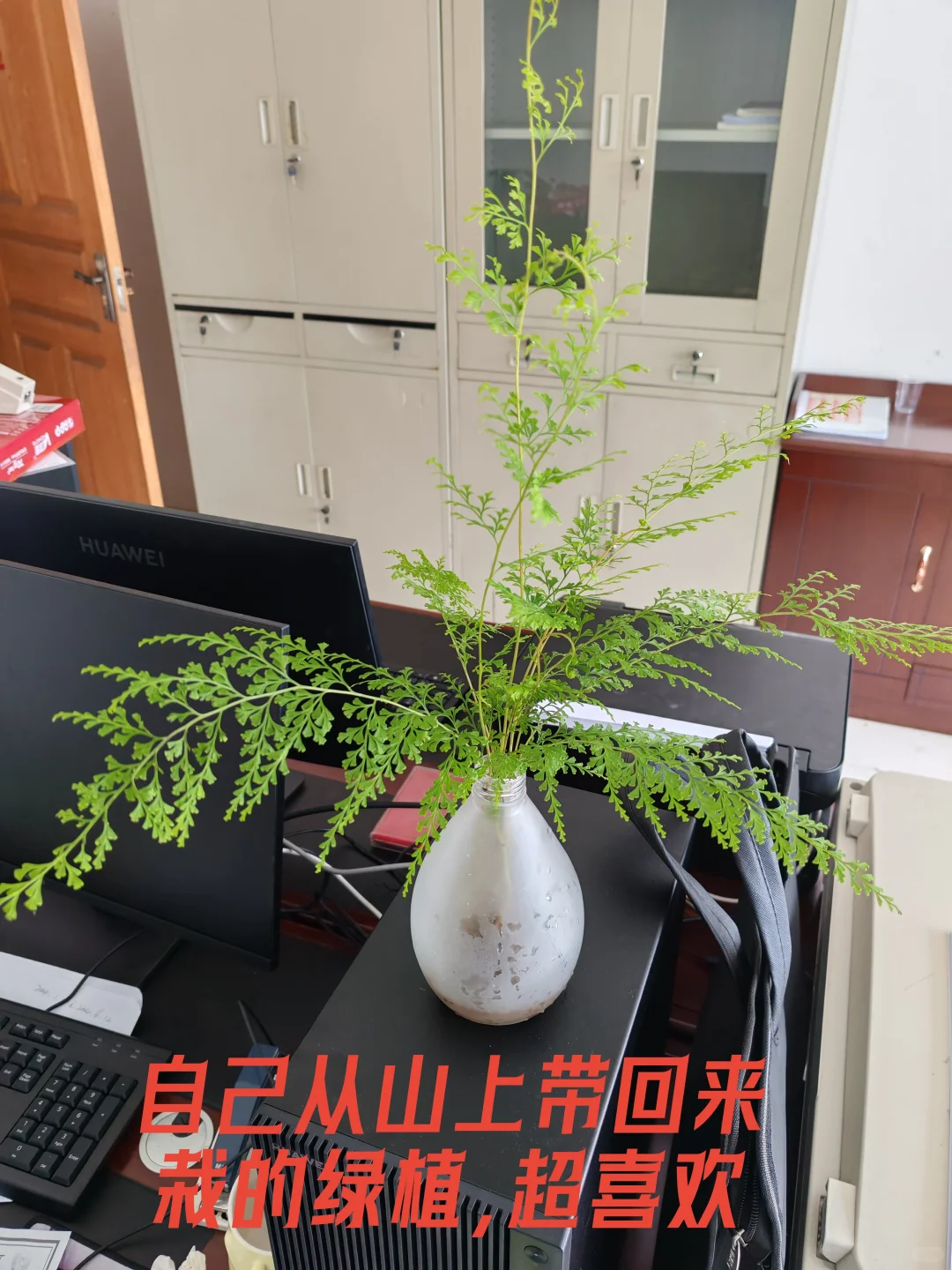 211硕士在异地乡镇林场工作日记