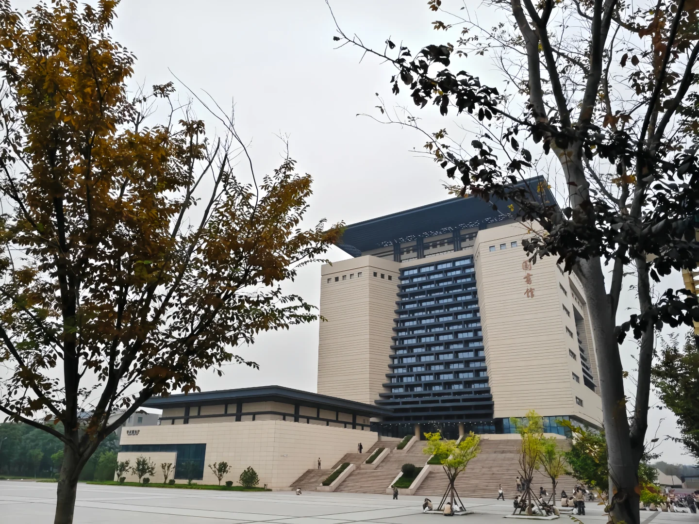 我在圣井度过的这些日子3⃣️——图书馆