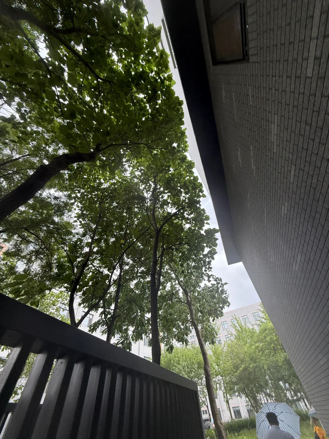 欢迎学弟学妹加入大美SYU！