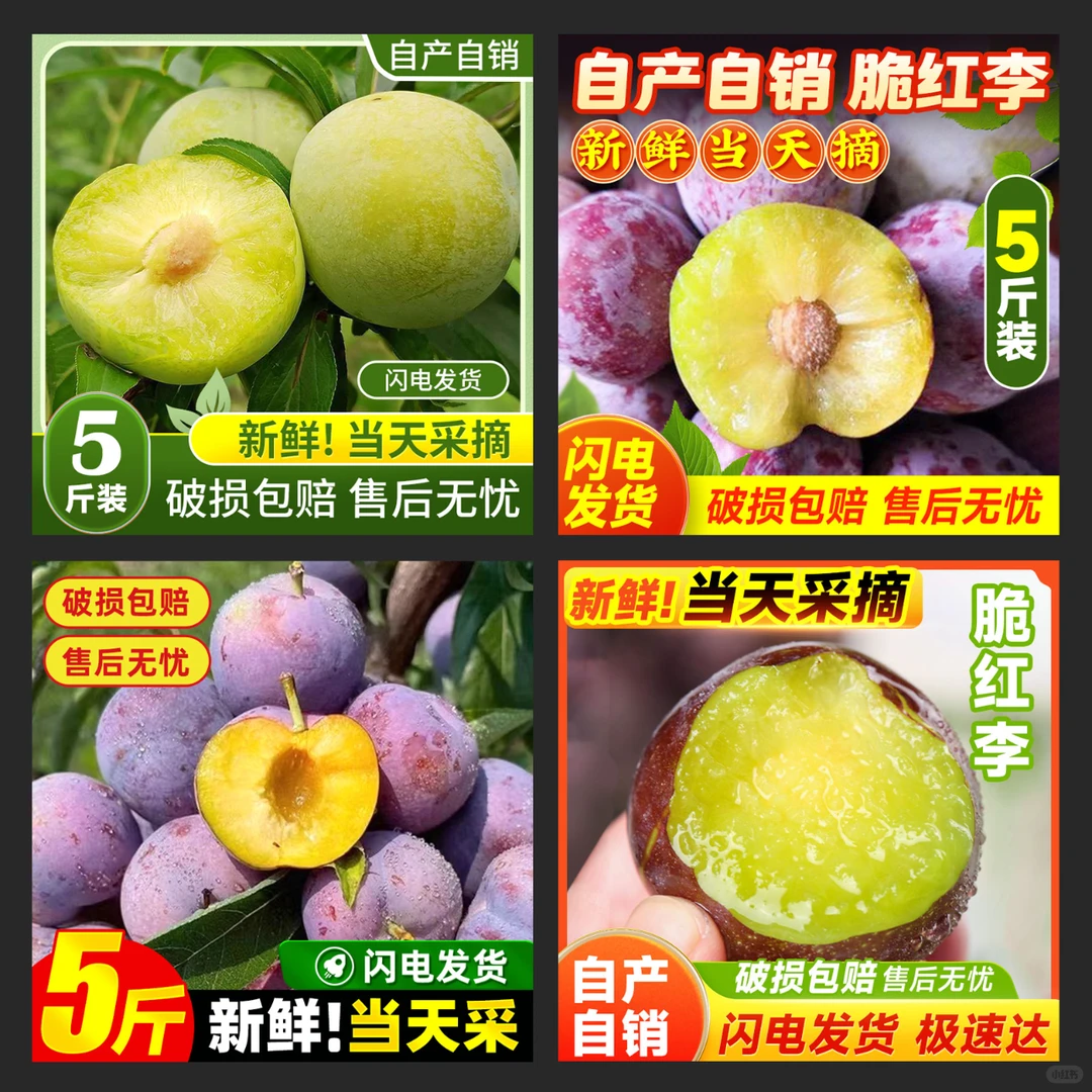 吃李子的季节到了 脆甜可口