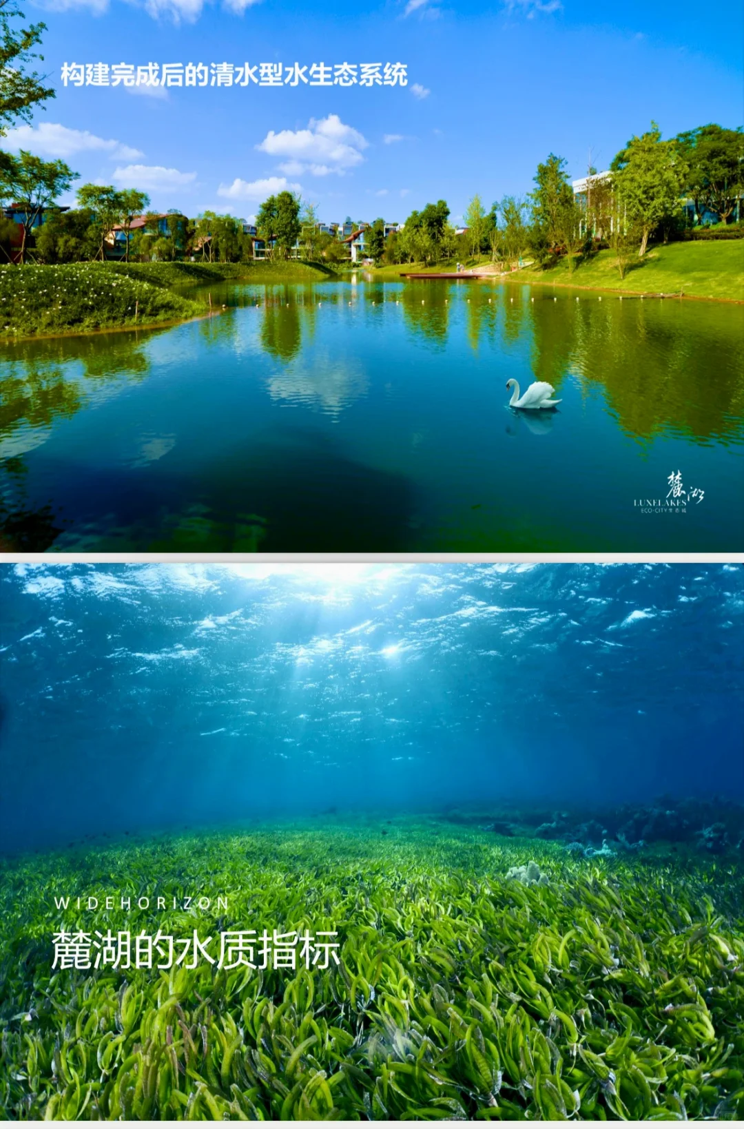 探秘麓湖｜麓湖的水以后会一直清澈吗