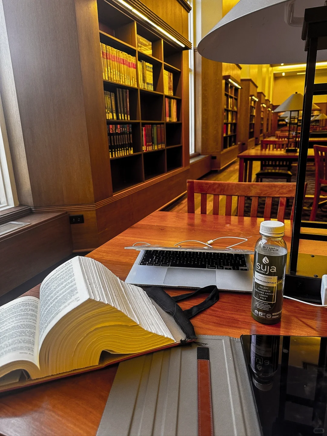 法学生的图书馆学习日常 ～学习