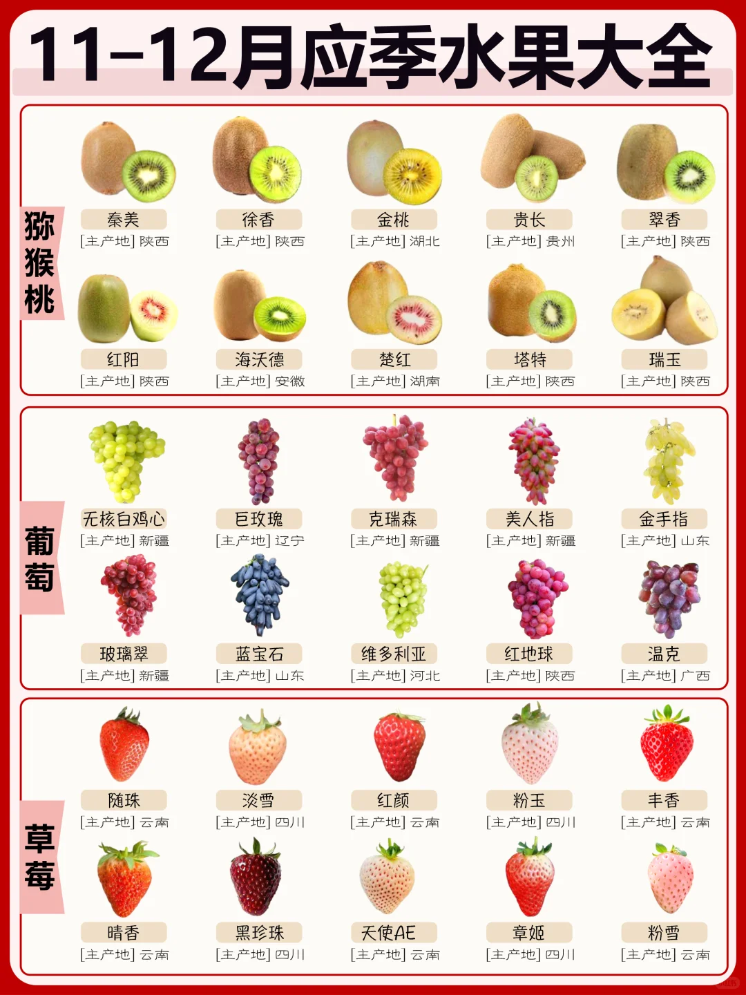 11月—12月应季水果大全