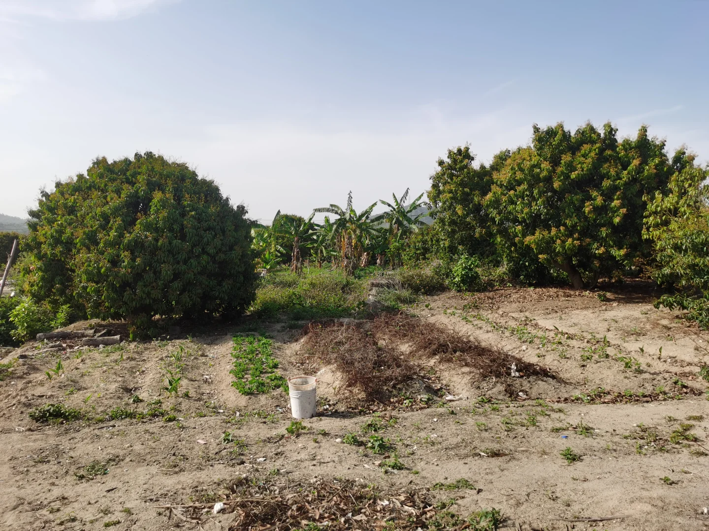 低成本养殖咋起步？2亩7000场地告诉你