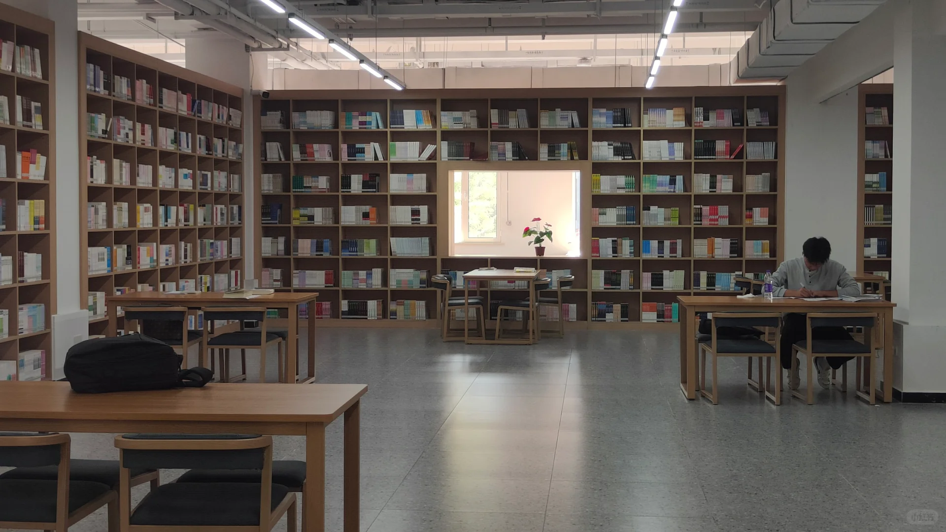 打卡河北东方学院图书馆