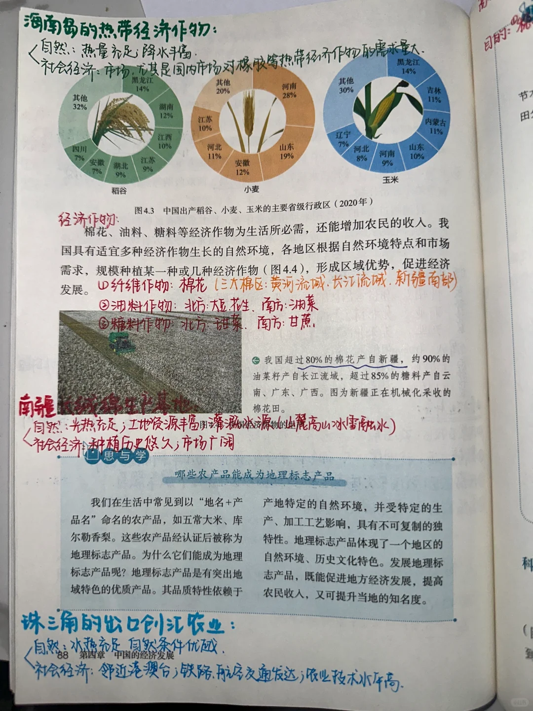 新版八上地理4.1农业笔记