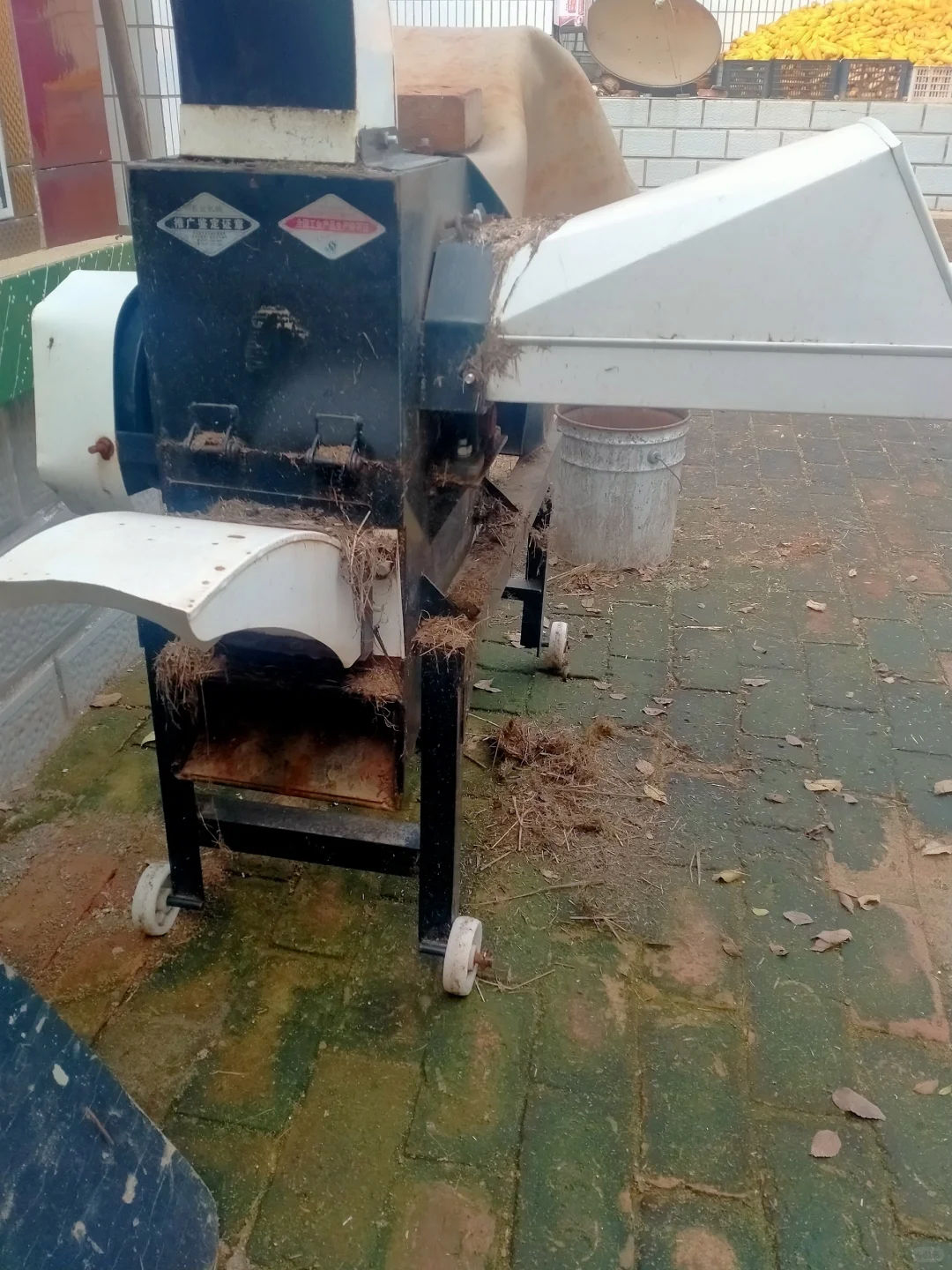 用了一个夏季的铡草机，需要的自取，便宜！