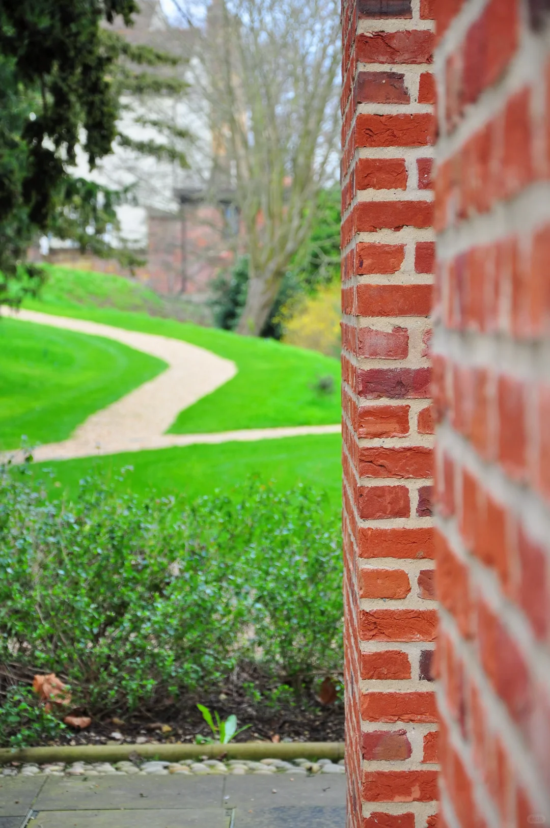 从剑桥大学新红砖图书馆去重新看待陶磊翻车