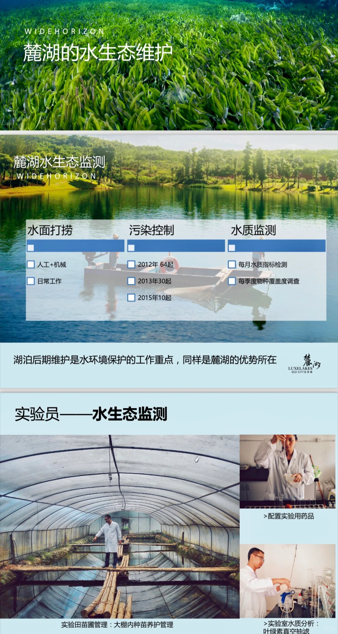 探秘麓湖｜麓湖的水以后会一直清澈吗