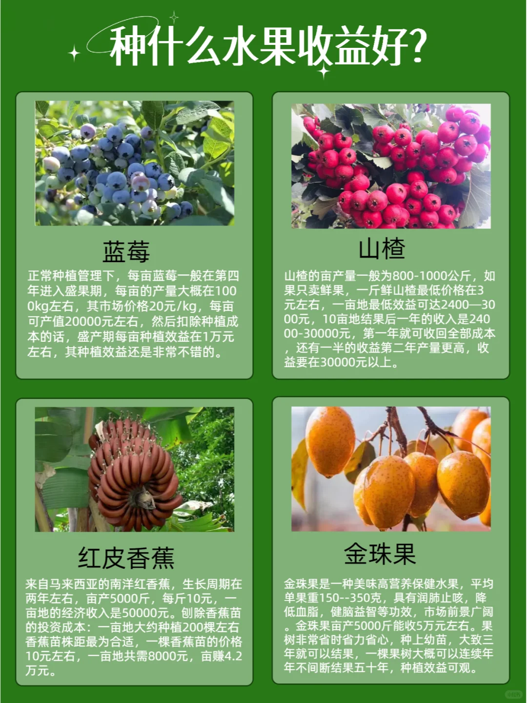 不同季节种什么水果