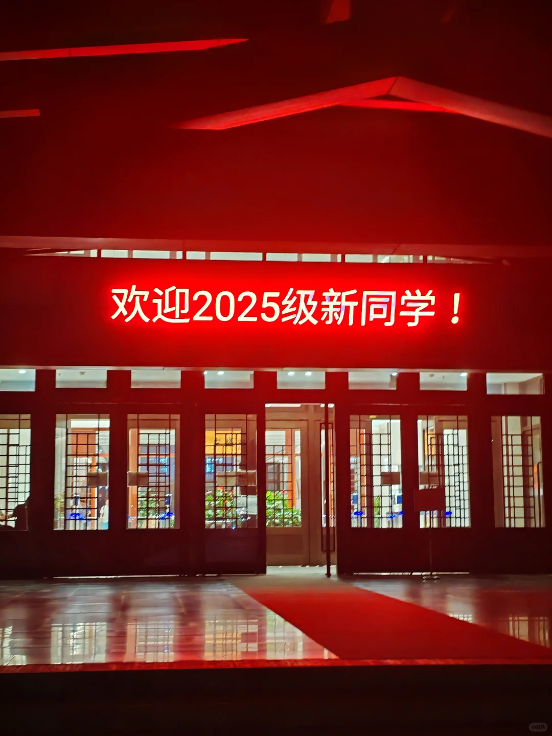 8月22日晚八点 北大图书馆 大家都好努力啊