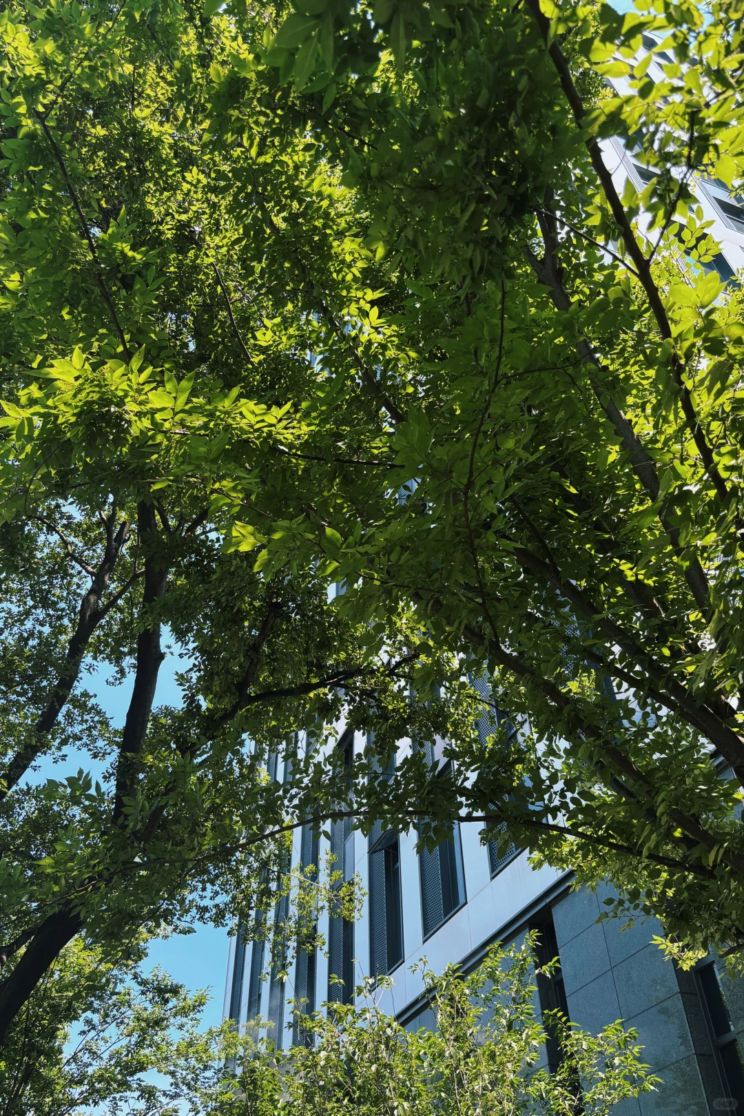 做服装10年，终于找到“招工不难”的秘诀…