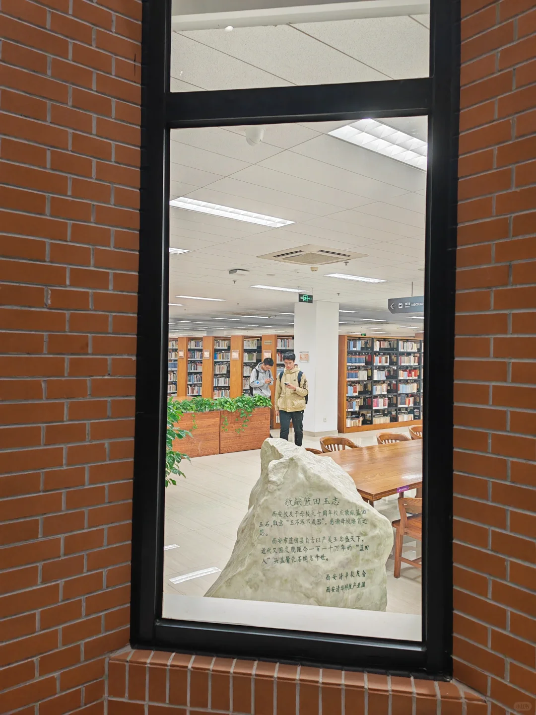 半年来第一次进图书馆就待到闭馆