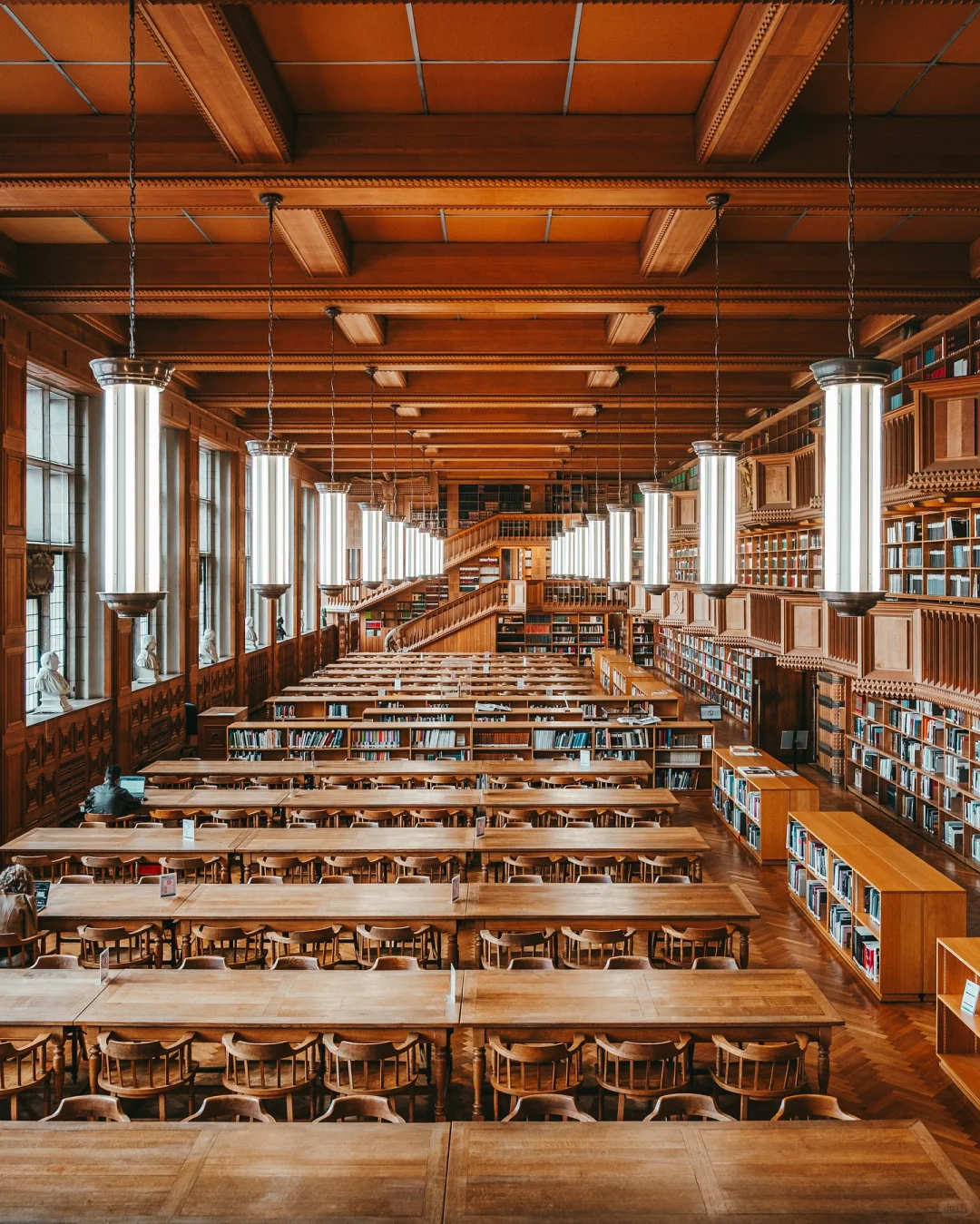 鲁汶必冲！87 米钟楼图书馆的文艺复兴风