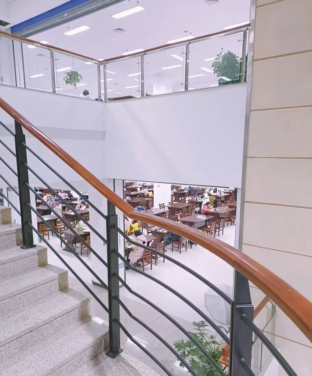 图书馆应该是大学最浪漫的地方了吧?