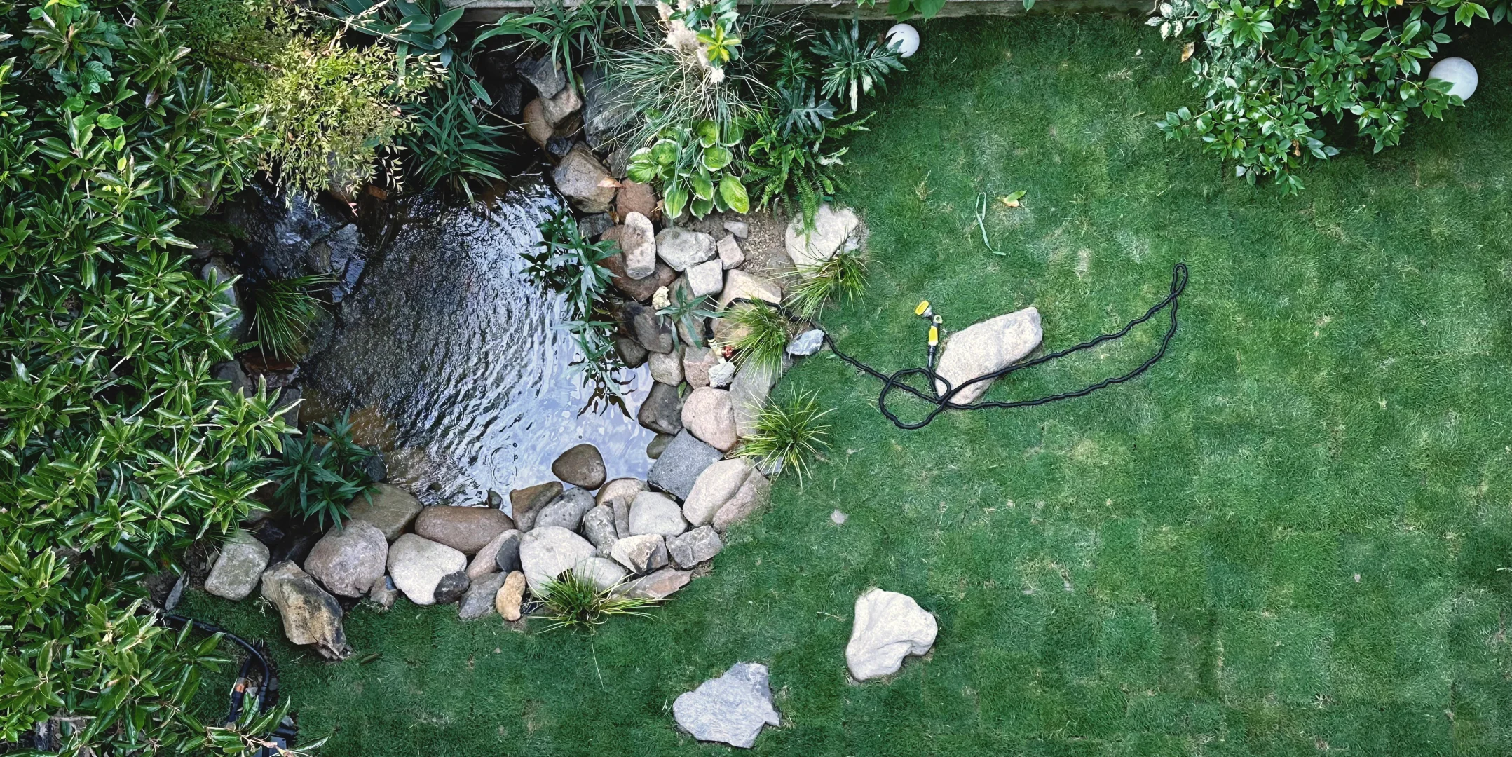 鱼池水质净化血泪史?看看你的鱼池