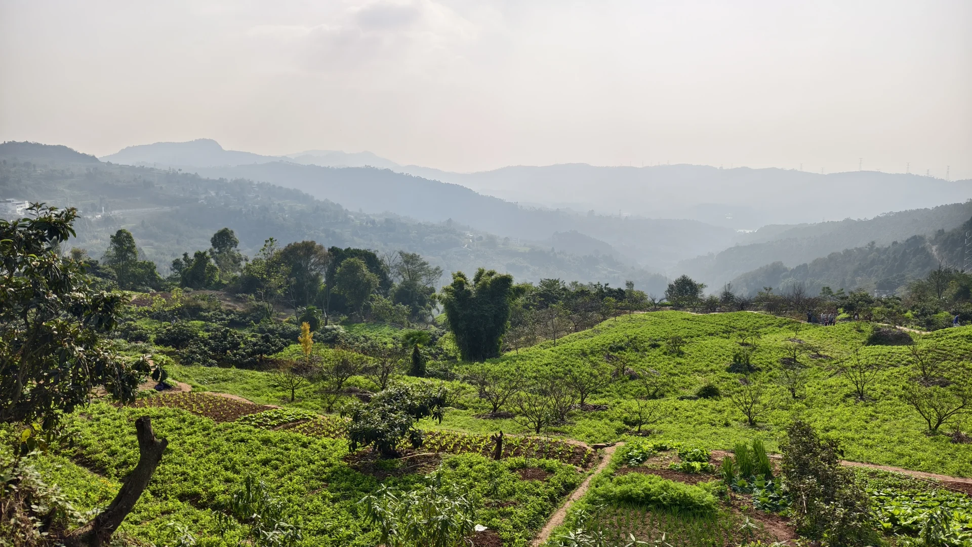 每周一山?成都南门不费腿亲子徒步路线
