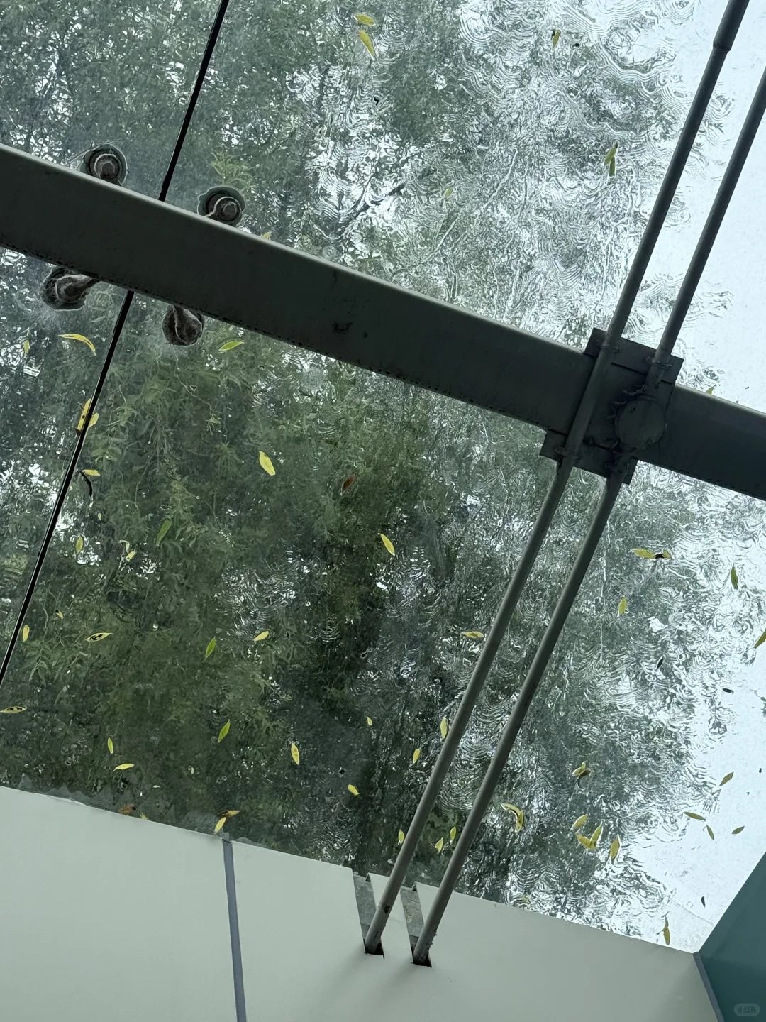 欢迎学弟学妹加入大美SYU！