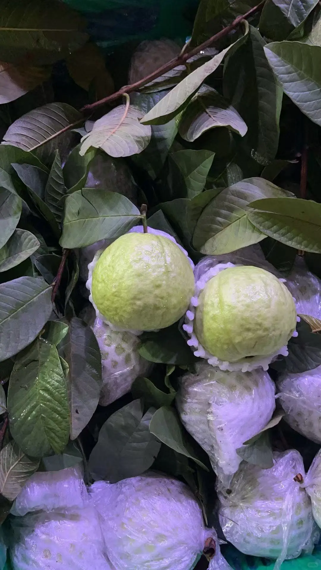 2025年11月26日穗虔优农水果批发价格