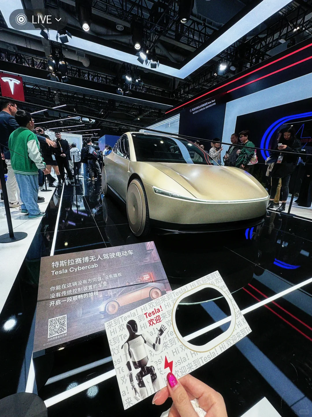 今日文案：看了个展?️