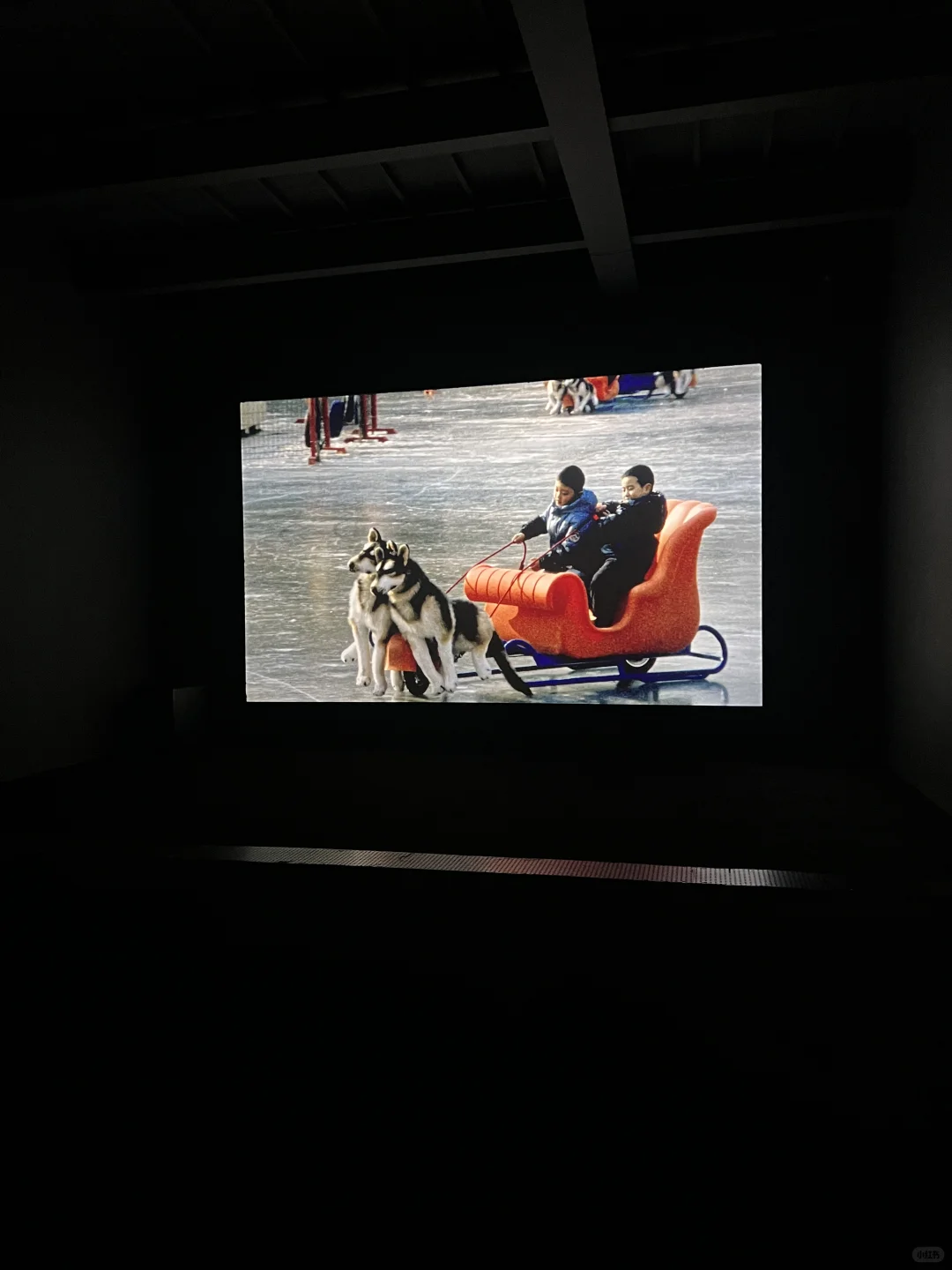 ?北京必看新展！别错过这个年度重磅展览！