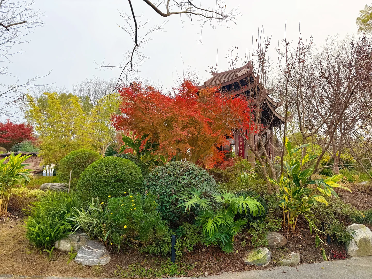 成都园艺博览会园林景观