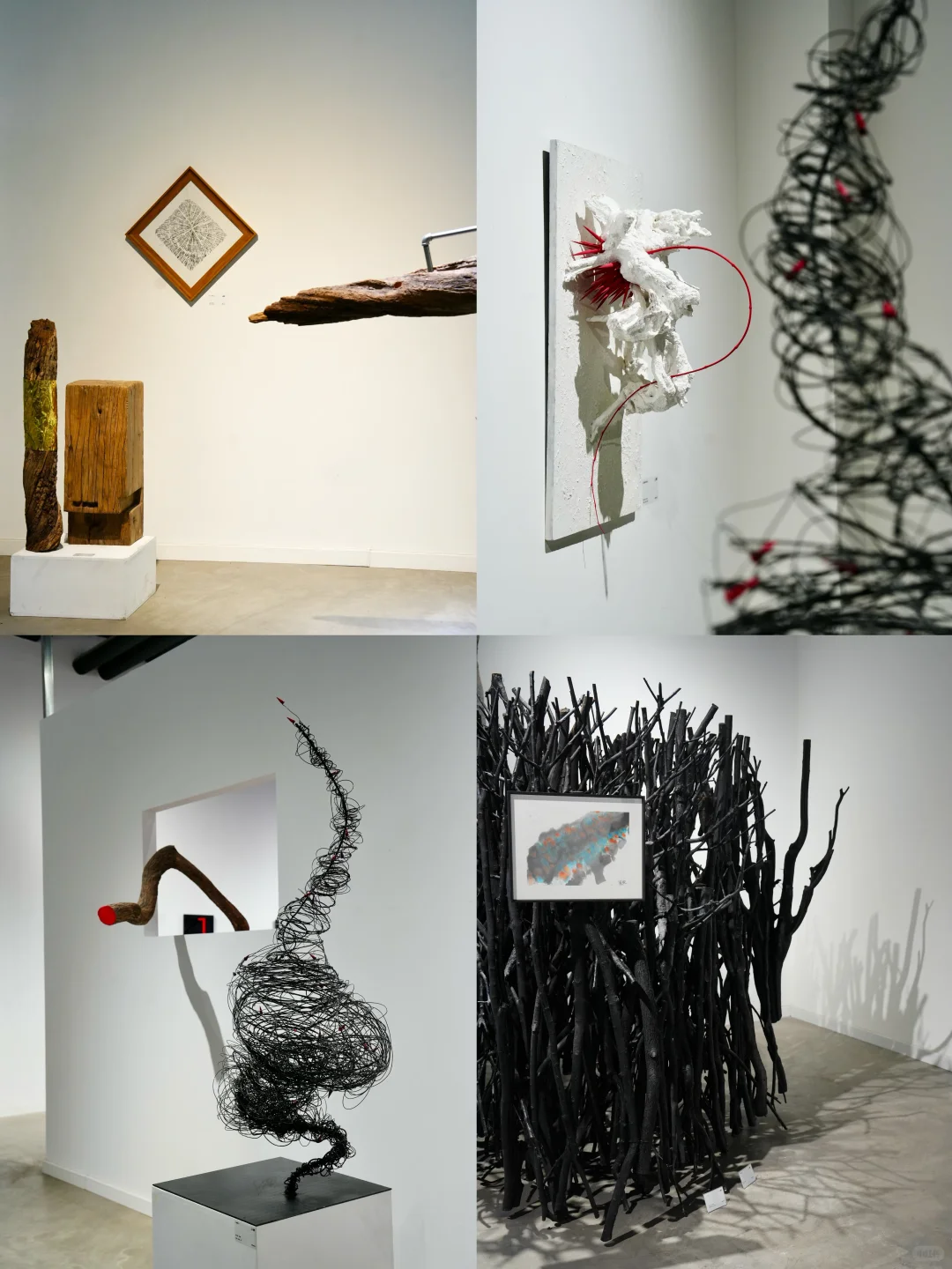 策展｜草月当代装置艺术展