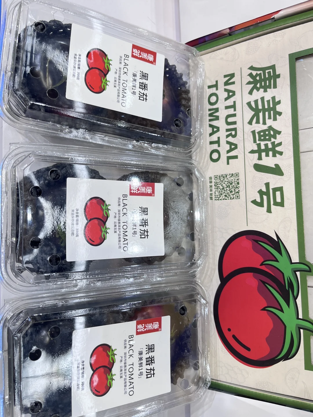 广西国际农业博览会~2025