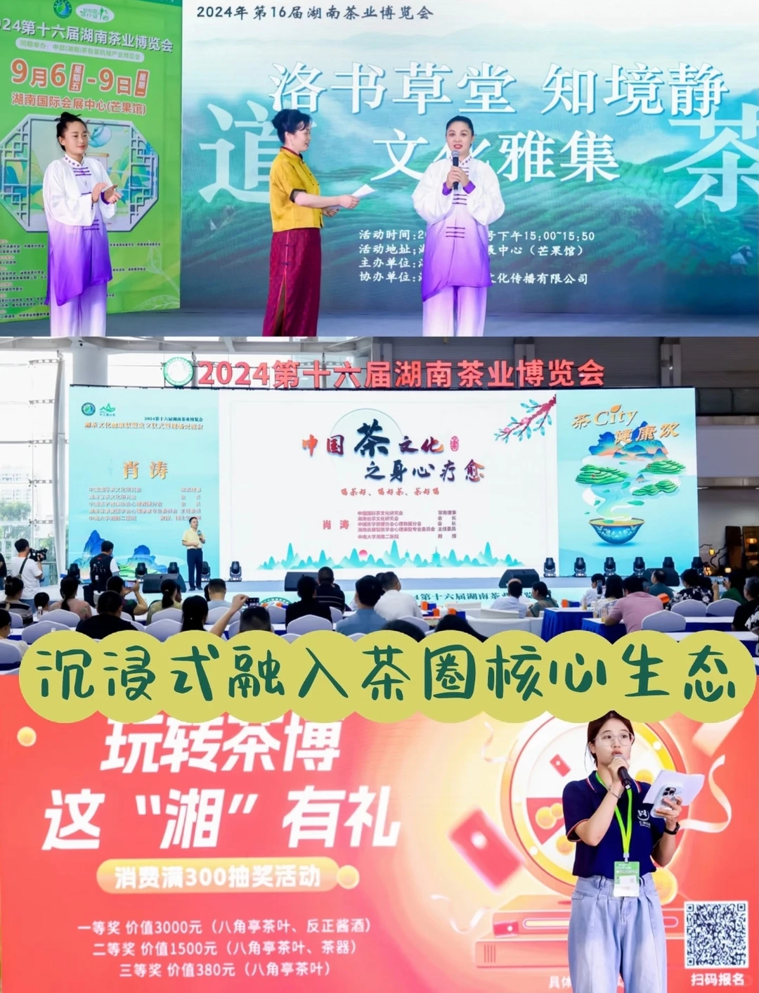 十八载茶韵深耕！2026湖南茶文化节招商启幕