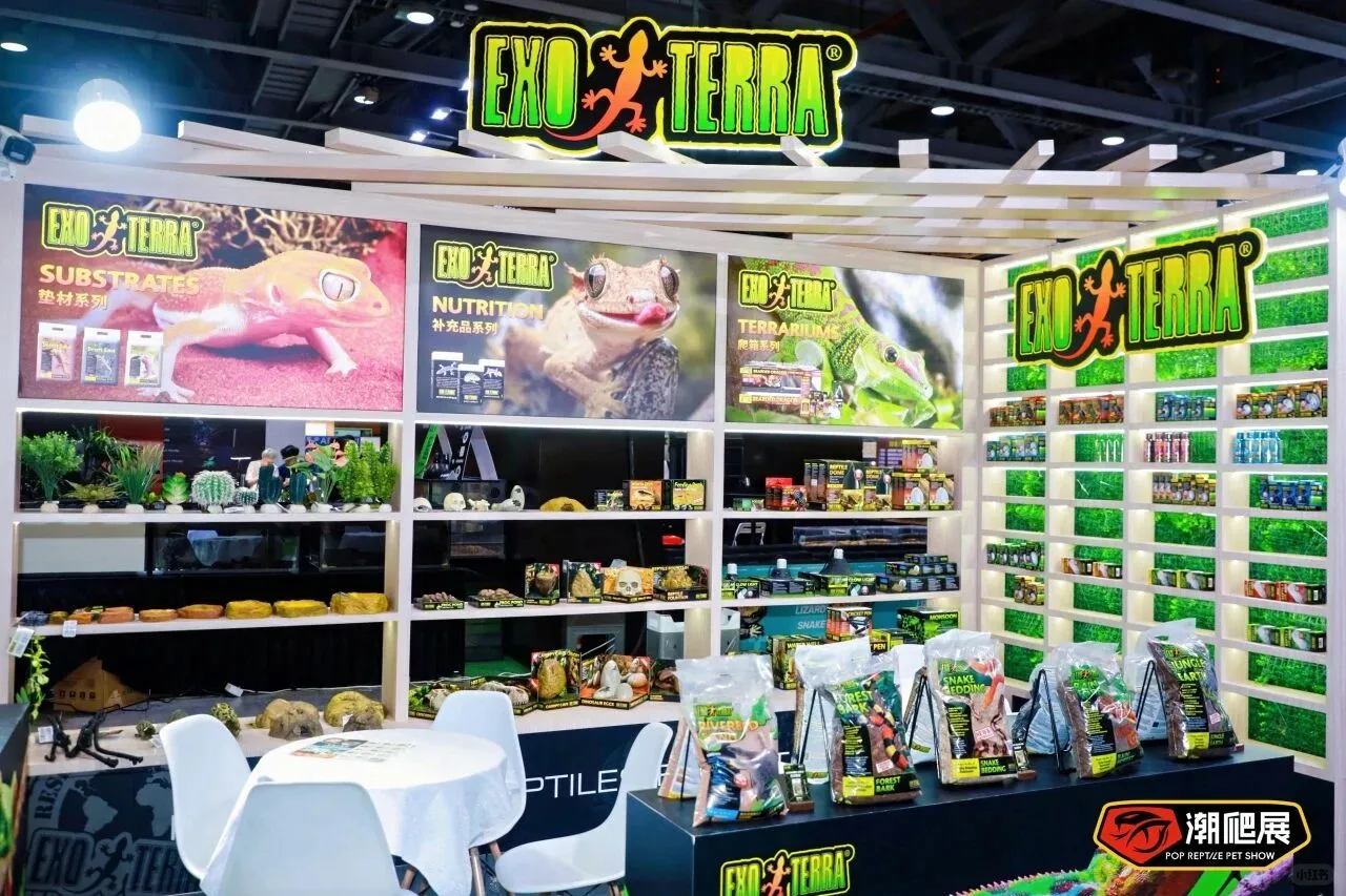 广州潮爬展战绩回顾，2026 精彩继续！