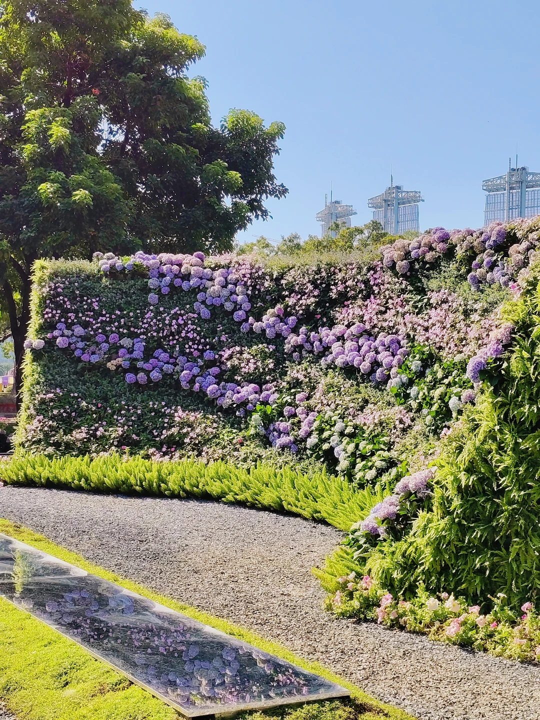 广州园博会 好多花花呀 拍照太美啦
