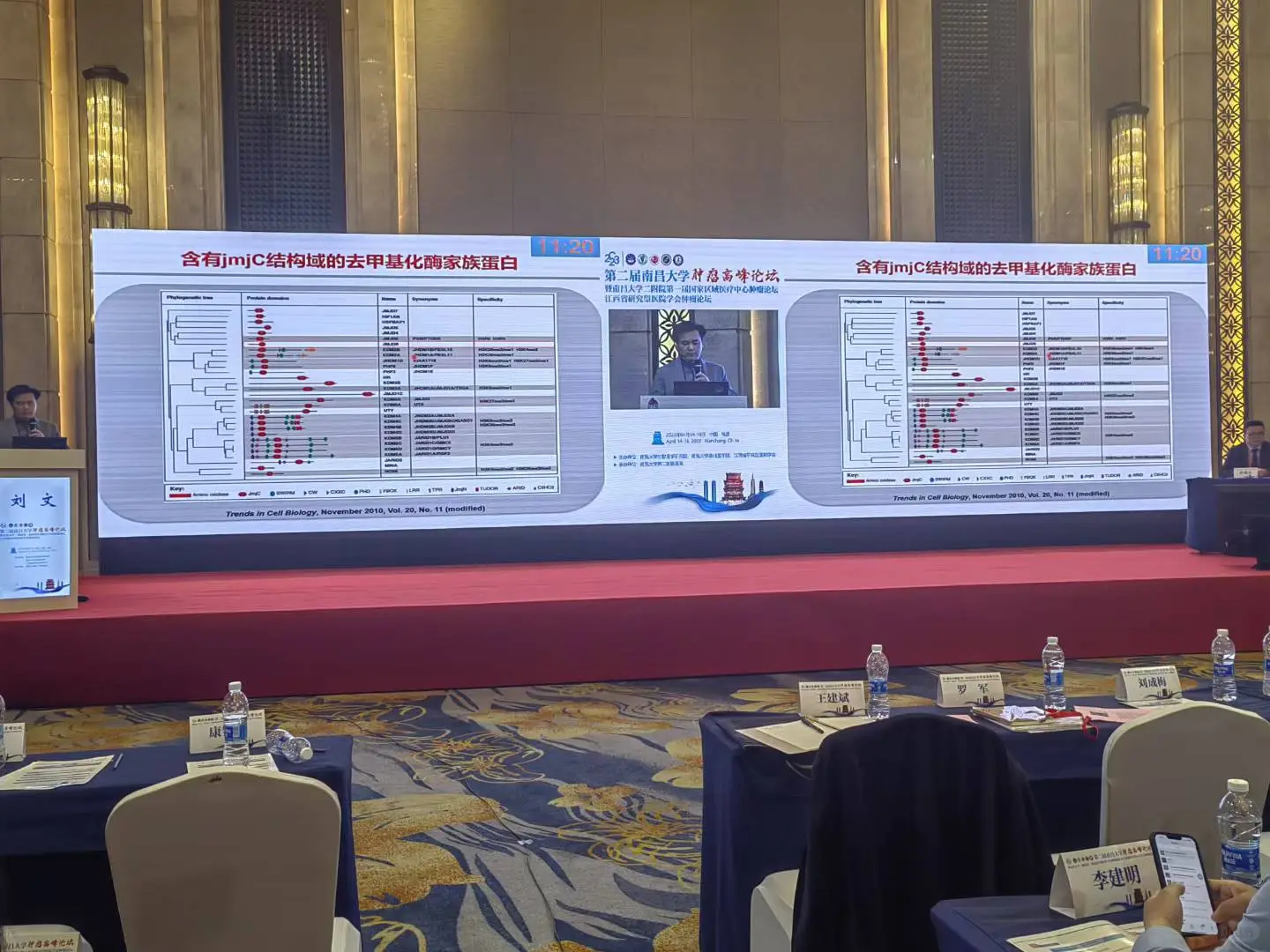 摄影摄像 会议跟拍 直播推流 照片直播