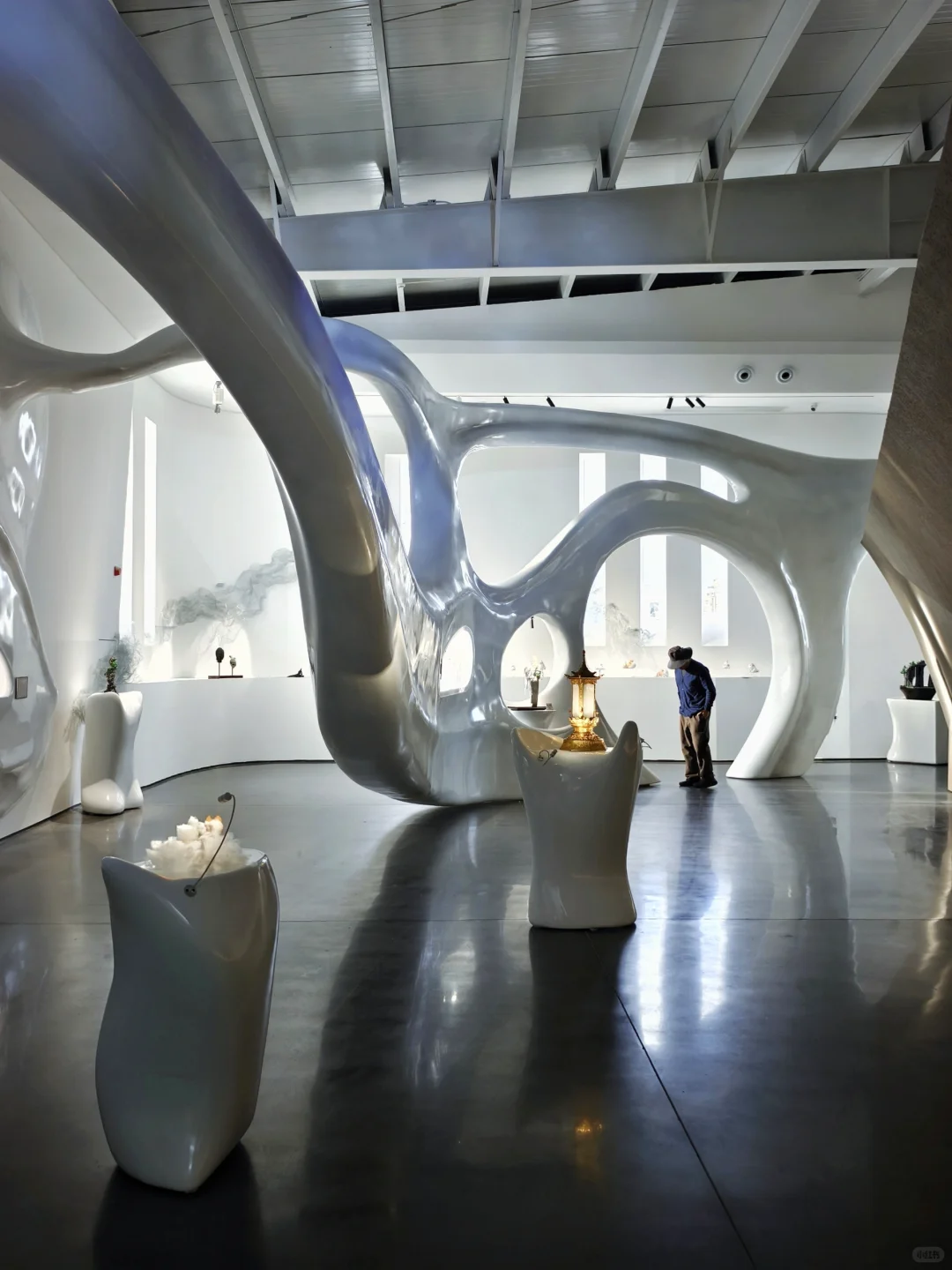 肇庆重磅免费双展‼️天马行空般重新想象