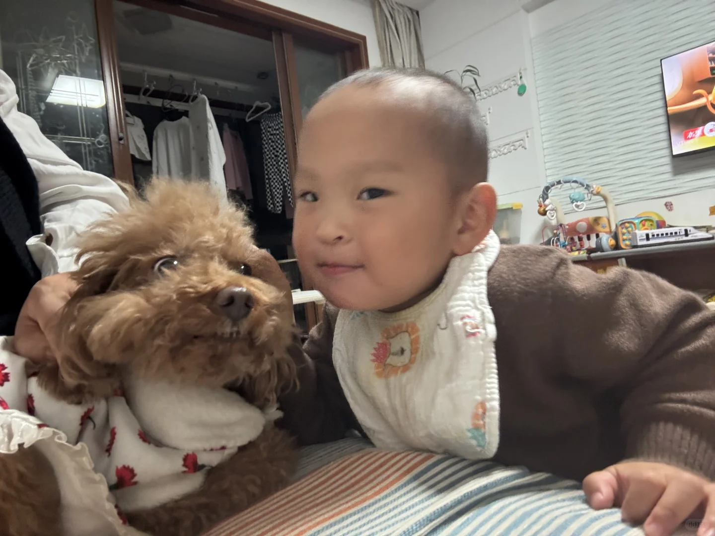 光通信光模块行业招聘(欧美企业)!