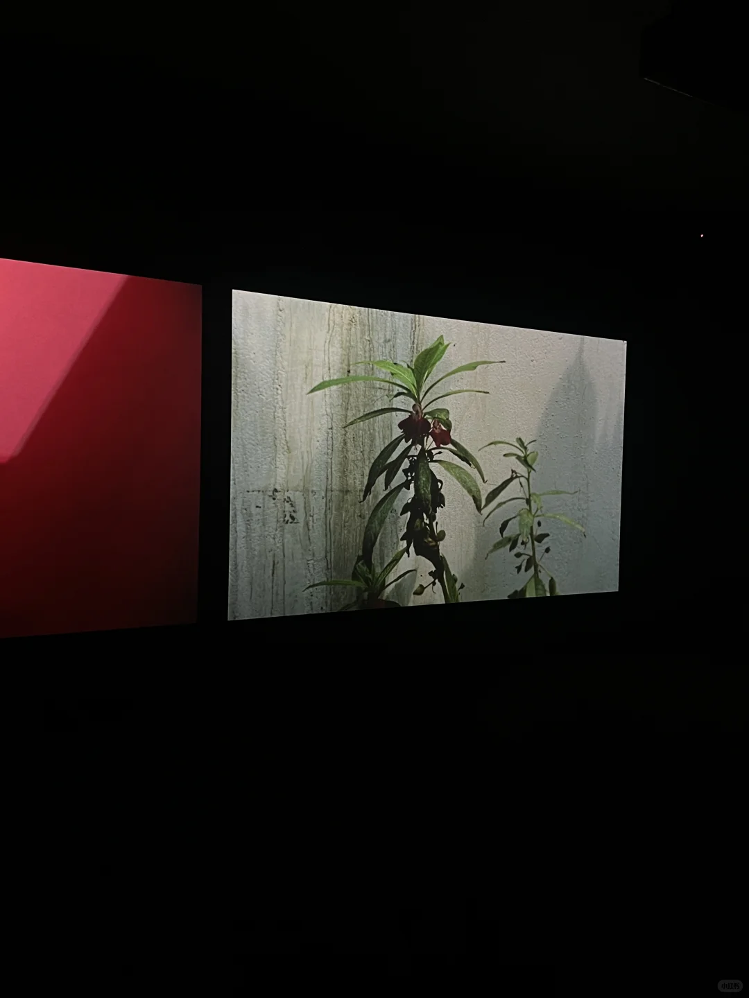 ?北京必看新展！别错过这个年度重磅展览！