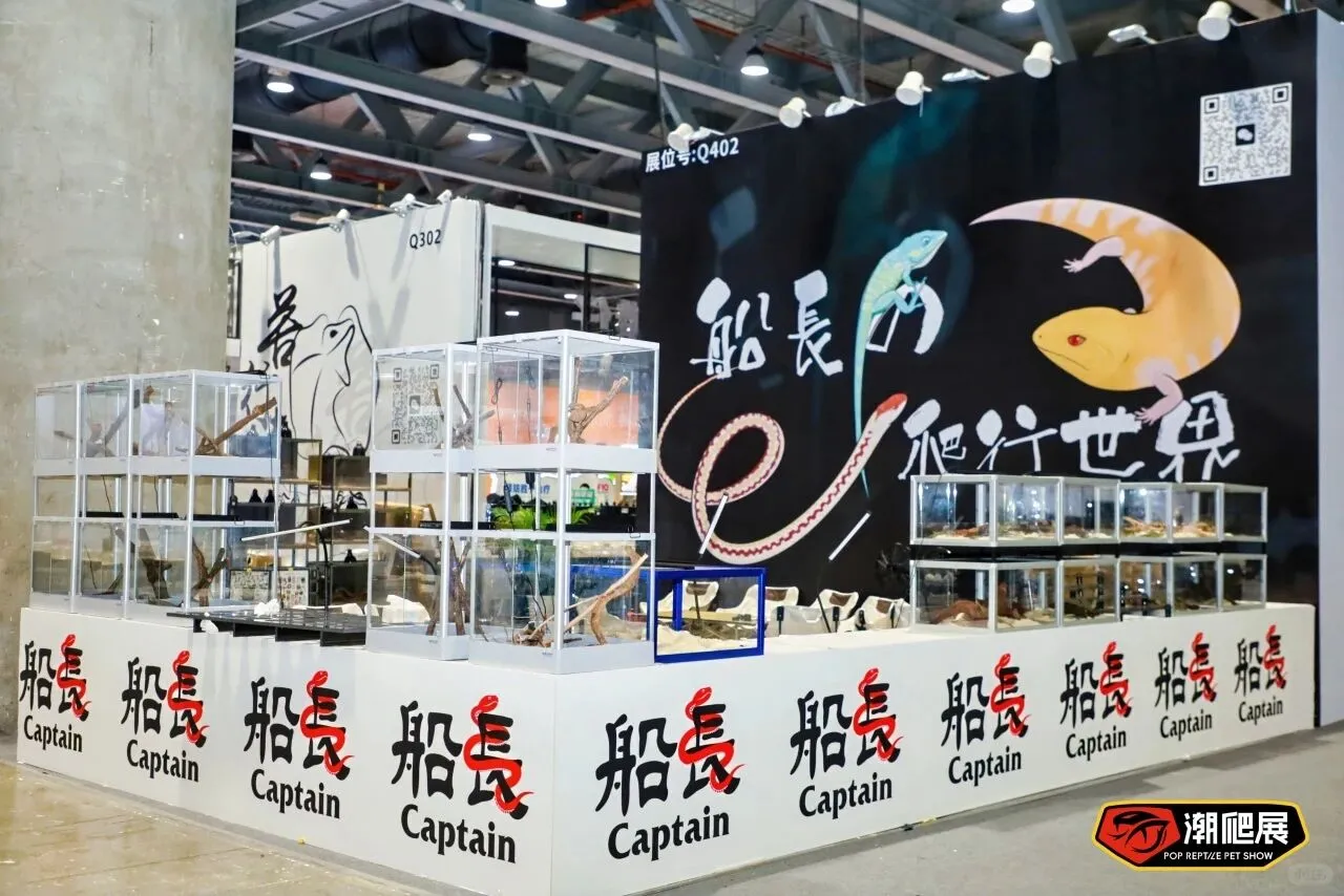 广州潮爬展战绩回顾，2026 精彩继续！