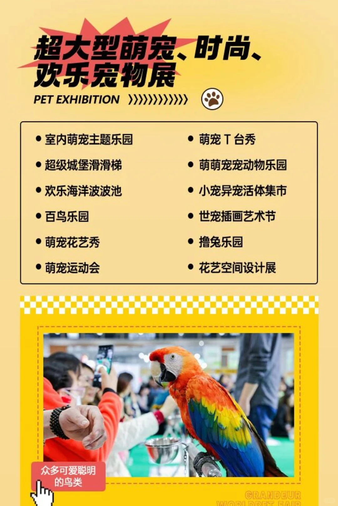 12月19日-12月21日厦门宠物展?‍⬛‼️